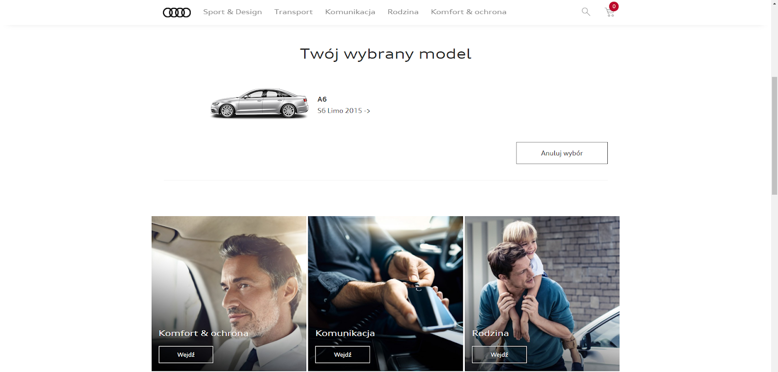 Audi sales platform developed by Programa software house