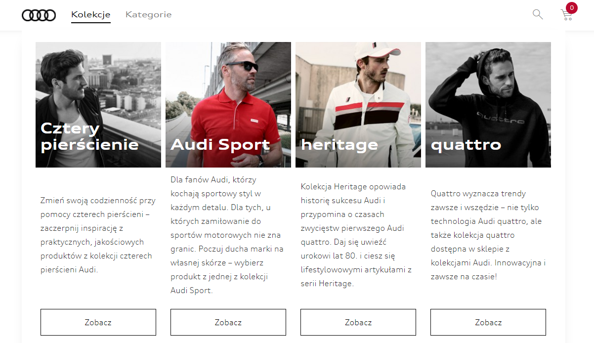 audi online store made by Programa software house